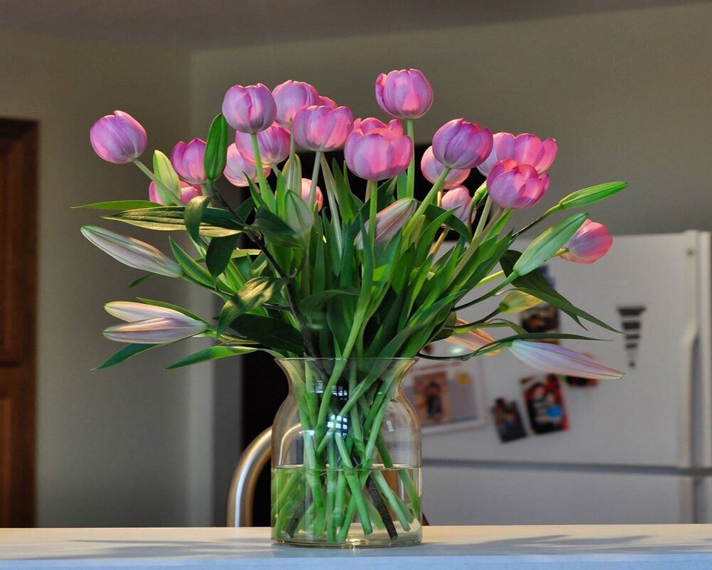 Hoa tulip làm tăng lên sự sang trọng quý phái của phòng khách